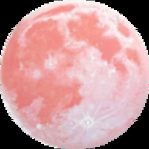 Meet your Posher, Sabrina